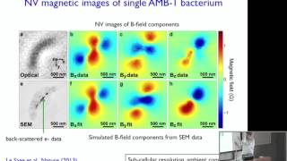 Ronald Walsworth quotNanoscale Magnetic Imaging Using Diamondquot [upl. by Lah]