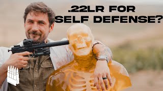 How Deadly Is A 22 Pistol 22 Pistol vs Human [upl. by Arateehc]