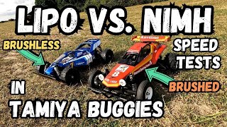 Lipo vs NiMH Tamiya Buggies Speed Tests Terra Scorcher vs Hornet brushless vs brushed [upl. by Mail542]