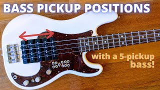 Bass Pickup Positions and Combinations  Bass With 5 Pickups [upl. by Zap]