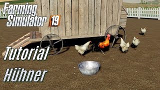 LS19 Hühner Tutorial  für Einsteiger [upl. by Enetsirk]