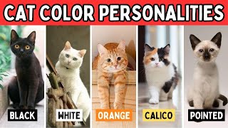 11 Cat Coat Colors and Their Personality What Your Cat’s Coat Color Says About Their Personality [upl. by Tades]