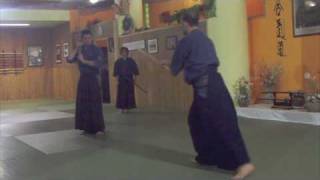 Katori Shinto 1° Kata Kenjutsu [upl. by Nomzed89]