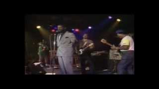 The Blues Brothers Band  Sweet home Chicago Live in Montreux [upl. by Houston]