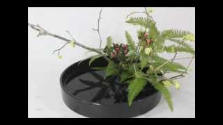 Ohara School of Ikebana  landscape moribana Stephen Coler 小原流いけばな [upl. by Aseral]