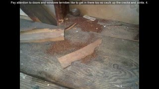 Drywood Termite Droppings Picture [upl. by Akinor304]