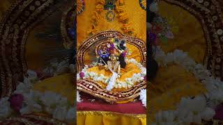 Maro sb kuch tere naall❣️ love music song harekrishna harekrishnafestival bhaktisong like [upl. by Ginsberg442]