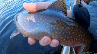 October Brook Trout  Fall Colors in the Boundary Waters Canoe Area Wilderness [upl. by Riggs748]