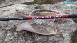 Review Minuto de Pesca Shimano Sojourn [upl. by Cuttler]