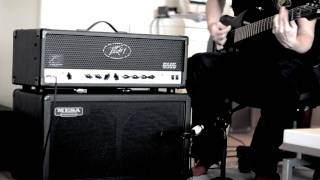 Peavey 6505  Playthrough [upl. by Sayers]