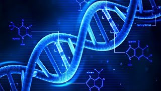 DNA  What is DNA  Basics of DNA [upl. by Atiz]