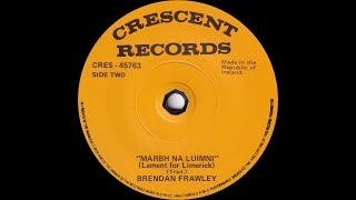 Brendan Frawley  Marbh Na Luimni Lament For Limerick [upl. by Seadon]