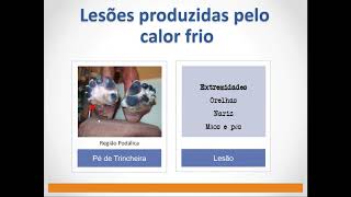 AULA 13 TRAUMATOLOGIA FORENSE ENERGIAS FÍSICAS p1 [upl. by Annaeirb383]