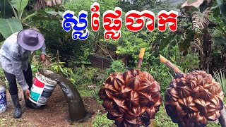 សម្លរគ្រឿងផ្លែចាកតាមកោះ How to make Nypa Fruticans SoupBong LaorTV [upl. by Corey]