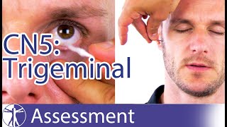 Cranial Nerve 5 Examination  Trigeminal Nerve Assessment for Physiotherapists [upl. by Rubie31]