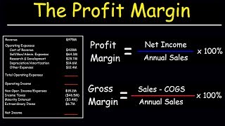 Profit Margin Gross Margin and Operating Margin  With Income Statements [upl. by Haland]