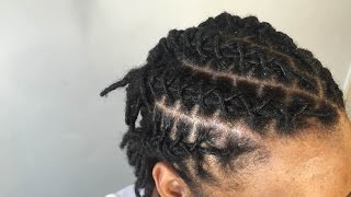 How To Retwist And Style Locs [upl. by Reta]