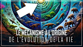 LHistoire INCROYABLE du Mécanisme à lORIGINE de lÉvolution de la Vie   DOCUMENTAIRE 2024 [upl. by Shep]