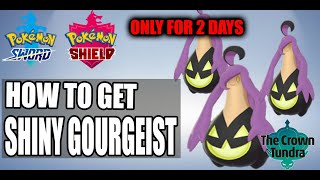 How To Get Shiny Gourgeistin Pokemon Sword and Shield How to claim shiny Gourgeist [upl. by Ailekahs]