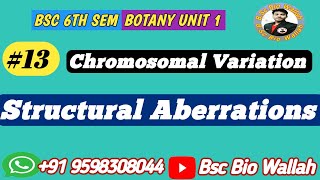 Structural Aberrations  Deletion Duplication Inversion and Translocation  Chromosomal variation [upl. by Meijer]