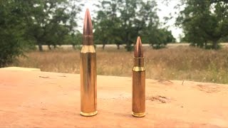 338 LAPUA VS 308 savage ba110 [upl. by Lrigybab183]