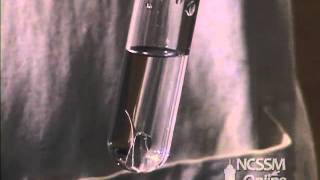 Reaction of Magnesium and Water [upl. by Nohshan]