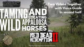 🗣 Red Dead Redemption 2 Locating and Taming Wild Appaloosa Horse [upl. by Henleigh]