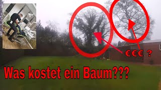 Was kostet ein Baum  Baumpflege Mertens [upl. by Eslek758]