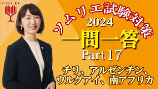 【2024年度】第17回ヴィノテラス ソムリエ・ワインエキスパート一次試験対策講座補講 チリ、アルゼンチン、ウルグアイ、南アフリカ [upl. by Grassi]