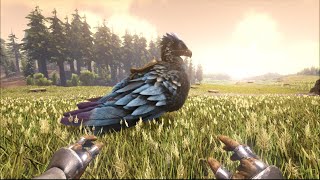 Ark How to spawn a Argentavis and a saddle for it [upl. by Yusuk]