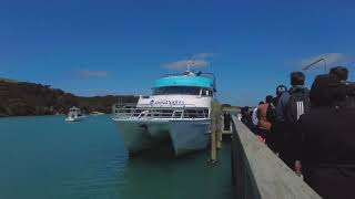 Trip to Paihia Bay of Islands New Zealand [upl. by Rissa286]