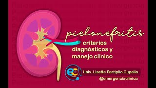 PIELONEFRITIS Criterios Diagnósticos y Manejo Clínico [upl. by Nada]