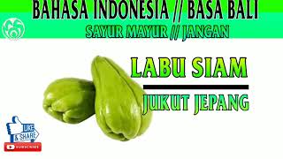 Macam  macam nama dan jenis sayur mayur  jangan jukutjukutan [upl. by Attikin427]