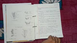 Biological Science  Practical Notebook  Class 12  English Version  Free PDF Link  Santu [upl. by Aynos]