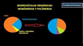 Biomoléculas Orgánicas Monómeros y Polímeros [upl. by Dymoke]