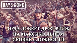 Орда с ЛобертДроуРидж в Days Gone на максимальном уровне сложности [upl. by Nnahtur201]