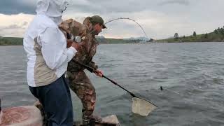 Kokanee Salmon Fishing Holter Reservoir June 2023 [upl. by Kreitman]