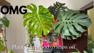 10 plants in my collection that will leave you speechless [upl. by Abie]