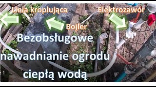 Patent na tanie bezobsługowe nawadnianie roślin ciepłą wodą ze słońca [upl. by Galatia]