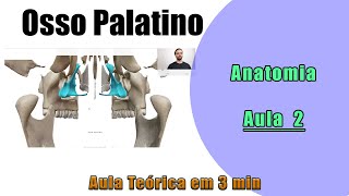 Osso Palatino  Teórica Aula 2  Anatomia  Anatomia Humana [upl. by Ynnor]