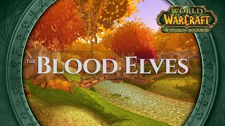 The Blood Elves  Music amp Ambience  World of Warcraft The Burning Crusade [upl. by Leffen]