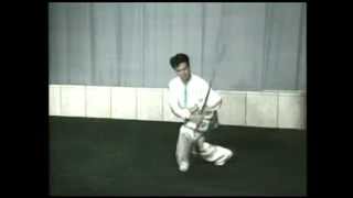 32式太極劍（25  32 式教學  B）Taiji sword  32 forms（form 25  32 instruction  B） [upl. by Lauryn]