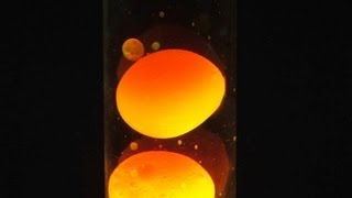 How To Make a Simple Lava Lamp At Home [upl. by Noslien]