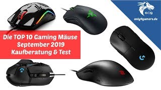 Beste Gaming Maus 2019 Test der TOP 10 BESTEN Gaming Mäuse September [upl. by Reeves]