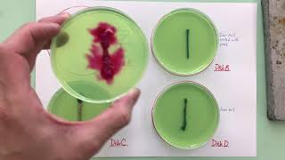 Chemistry  3Sec  The effect of catalysts on the rate of chemical reactions [upl. by Easton]