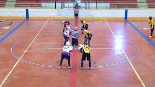 Kamloops Jets vs The Core  2015 BCBHA Ball Hockey Provincial quotBquot Final  Ball Hockey Provincials [upl. by Nemad]