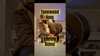 Tonewood Amp Demo tonewoodamp acoustic guitar [upl. by Mosley]