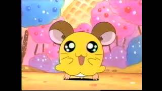 Hamtaro Japanese EP 220 Big Penelope Subbed ENG [upl. by Norean166]