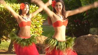 Hula Dancers in Poipu Kauai [upl. by Van]