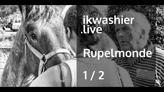 Jaarmarkt Rupelmonde 12 met keuring Belgische trekpaarden en verteller Omer Maes  ikwashierlive [upl. by Audrye317]